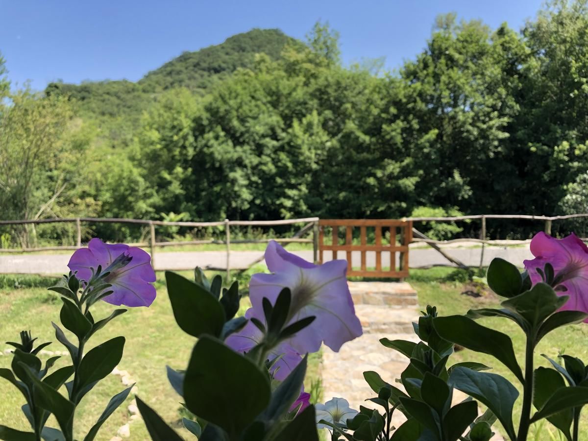 Лоджи Orahovo Cottages Вирпазар