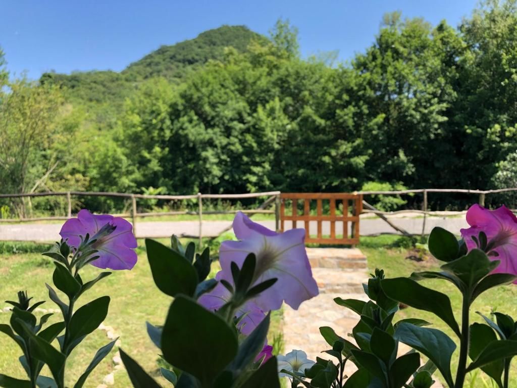 Лоджи Orahovo Cottages Вирпазар