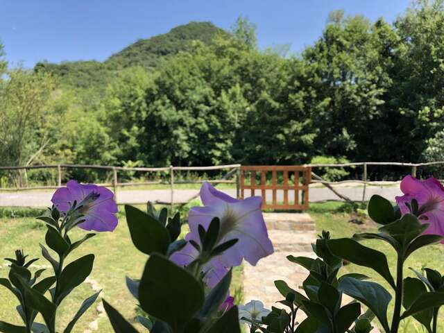 Лоджи Orahovo Cottages Вирпазар-21