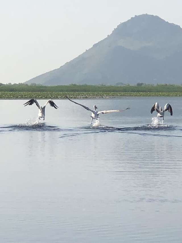 Лоджи Orahovo Cottages Вирпазар-47